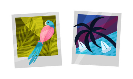Square Travel Snapshot and Photo Picture as Album Memory Vector Set
