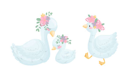 Beautiful White Swan or Goose with Floral Arrangement Vector Setのイラスト素材