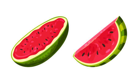 Fresh and Juicy Watermelon Fruit with Red Flesh and Black Seeds Vector Setのイラスト素材