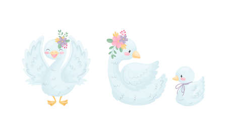 Beautiful White Swan or Goose with Floral Adornment Vector Setのイラスト素材