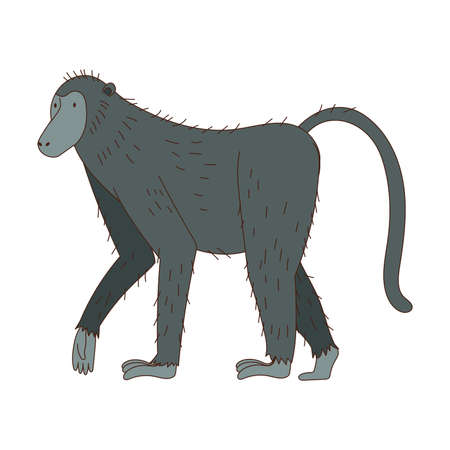 Monkey as African Animal with Long Tail Walking Vector Illustrationのイラスト素材