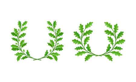 Floral wreath made of green leaves set. Invitation, greeting card, banner, wedding frame design cartoon vector illustrationのイラスト素材