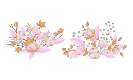 Cotton plant branches set. Bouquets of beautiful flowers bolls in opened seeds case vector illustrationのイラスト素材