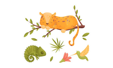 Cute exotic animals set. Panther, chameleon and hummingbird cartoon vector illustration isolated on white background.のイラスト素材