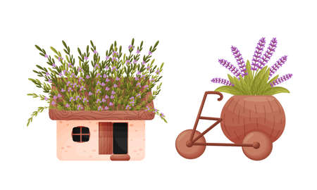 Garden potted plants in pots of different shapes set. Ceramic flower pots in shape of house and cart vector illustrationのイラスト素材