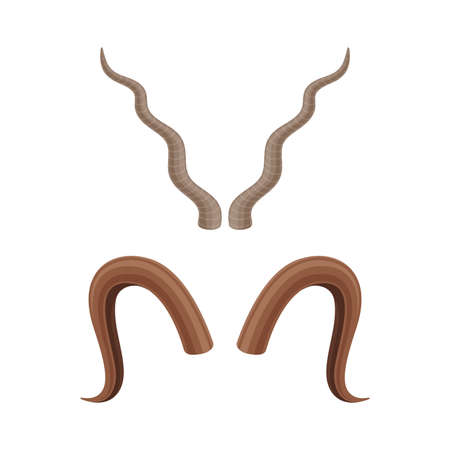Antlers set. Hunting trophy of antelope, gazelle, goat animals vector illustrationのイラスト素材