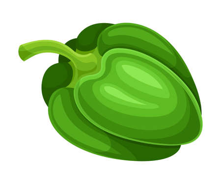 Sweet Green Bell Pepper Vegetable Ingredient for Culinary Vector Illustrationのイラスト素材