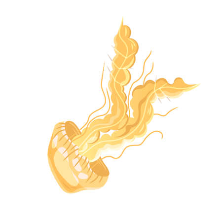 Yellow Jellyfish with Umbrella-shaped Bell and Trailing Tentacles Vector Illustrationのイラスト素材