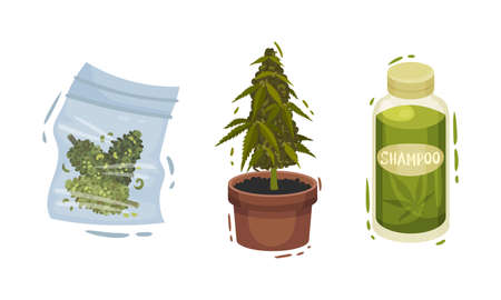 Cannabis Shampoo and Plant Growing in Pot Vector Setのイラスト素材