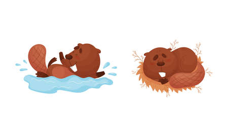 Funny Beaver Character with Flat Tail Sleeping in Nest and Swimming in Water Vector Setのイラスト素材