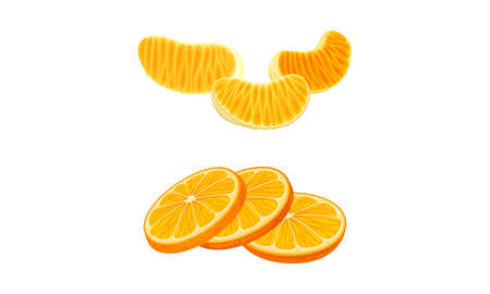 Fresh ripe mandarins set. Peeled mandarin slices vector illustrationのイラスト素材