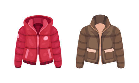 Fashionable women outerwear set. Stylish winter, spring or autumn clothing vector illustrationのイラスト素材