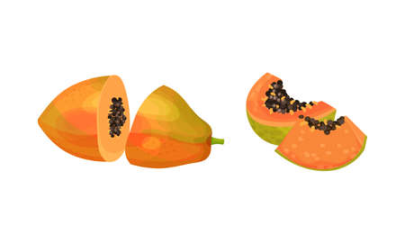 Sliced papaya tropical exotic fruit. Healthy diet, organic, vegetarian product vector illustrationのイラスト素材