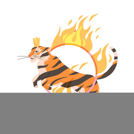 Circus tiger jumping through flaming hoop cartoon vector illustration on white backgroundのイラスト素材