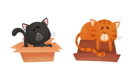 Adorable cats in boxes set. Funny black and red cat sitting and sleeping with cardboard box cartoon vector illustrationのイラスト素材