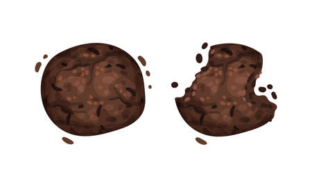 rispy chocolate biscuits with crumbs set vector illustration on white backgroundのイラスト素材