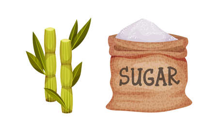 Burlap Sack Full of Refined Sugar and Sugarcane as Sweetener for Food and Drink Vector Setのイラスト素材