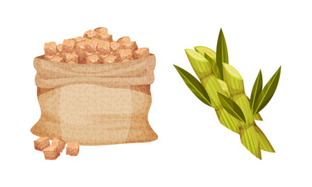 Pile of Brown Sugar Cubes in Sack and Sugarcane as Sweetener for Tea and Coffee Vector Setのイラスト素材