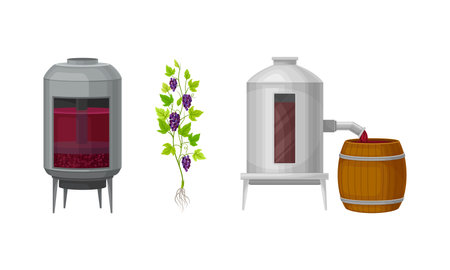 Metal Tank with Grape Juice as Alcoholic Fermentation and Pouring in Wooden Barrel Vector Setのイラスト素材