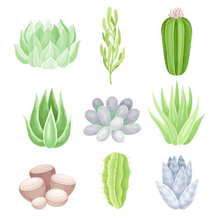 Succulent indoor plants set. Trendy home, office decor vector illustrationのイラスト素材