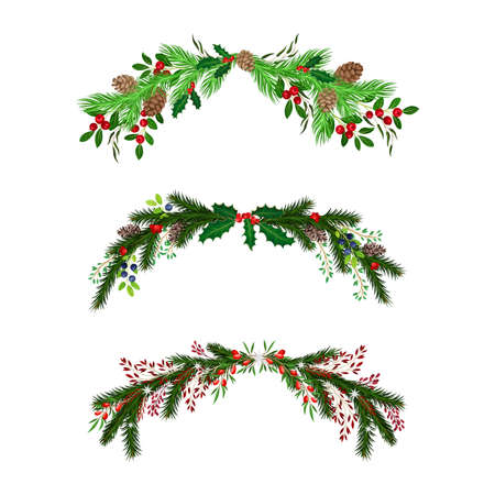 Evergreen Fir Tree Branches and Berry Twigs Semicircular Vector Composition Setのイラスト素材