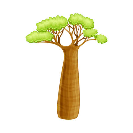 Baobab tree powerful plant, African landscape design element cartoon vector illustrationのイラスト素材