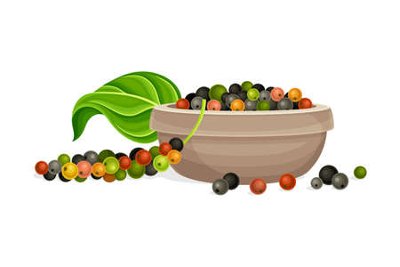 Peppercorn spice mix in bowl. Organic herbal seasoning vector illustrationのイラスト素材
