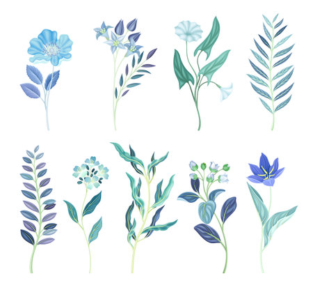 Blue plants and flowers set. Trendy color floral design elements vector illustrationのイラスト素材