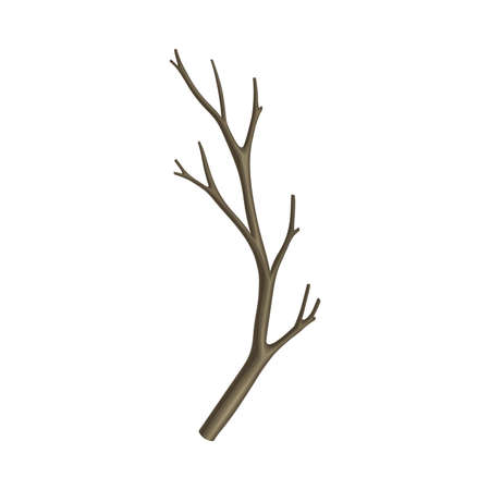 Bare Tree Branch or Twigs with Naked Stem and Snag Vector Illustrationのイラスト素材