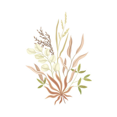 Bouquet with dried plants. Flowers in taupe, dusty pink, brown, sepia trendy colors for your own design vector illustrationのイラスト素材