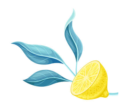 Half of ripe juicy lemon with green leaves vector illustrationのイラスト素材