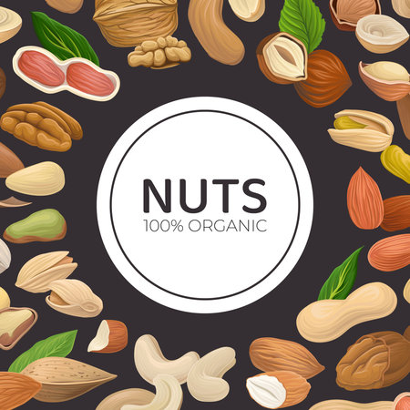 Nuts with Cashew and Almond Scattered on Black Background Vector Card Templateのイラスト素材