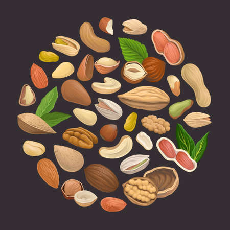 Nuts with Cashew and Almond Arranged in Circle Vector Templateのイラスト素材
