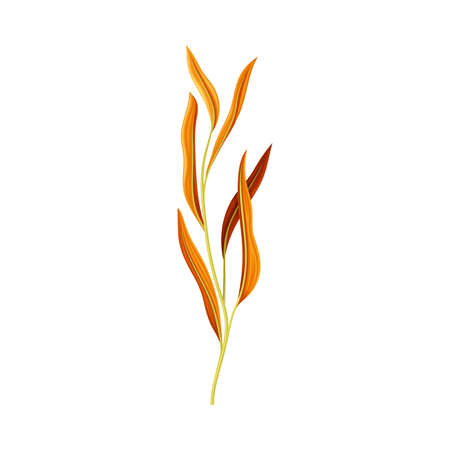 Plant twig with orange narrow leaves vector illustrationのイラスト素材