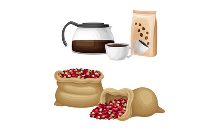 Fresh fruits in canvas sacks and brewing of aroma coffee. Coffee industry production vector illustrationのイラスト素材