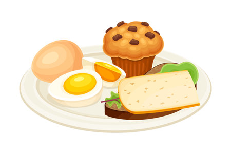 Boiled eggs, sandwich and muffin on plate. Tasty food dish for breakfast vector illustrationのイラスト素材