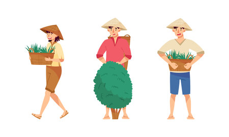 Asian farmers working on farm set. Peasants in straw conical hats planting rice and harvesting tea on field cartoon vector illustrationのイラスト素材