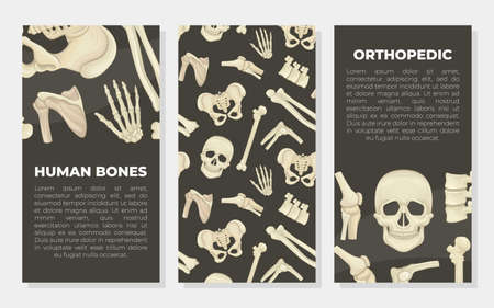 Human bones cards set. Orthopedics, traumatology and rheumatology medical banners with place for text vector illustrationのイラスト素材