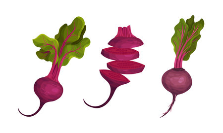 Set of fresh whole and sliced beetroot with green leaves. Organic vegetable, natural farm food...