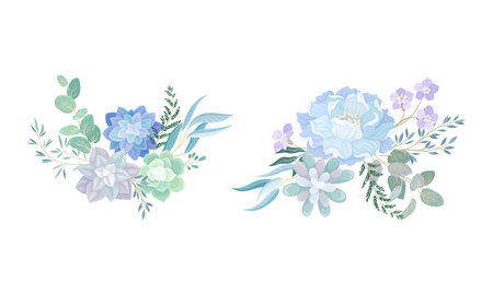 Set of elegant bouquets or bunches of dusty blue flowers, succulents and twigs of trees vector illustrationのイラスト素材