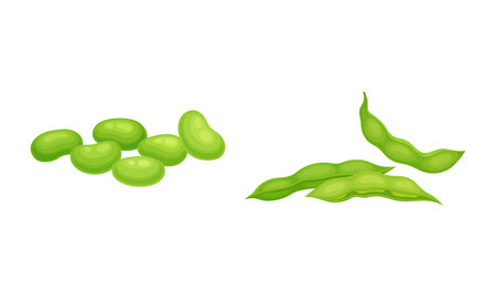 Soy Grain Legume or Pulse Crop with Green Pod and Beans Vector Setのイラスト素材