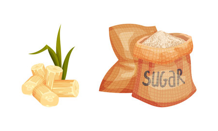 Sugarcane Fibrous Stalk and Sack with Sugar Vector Setのイラスト素材
