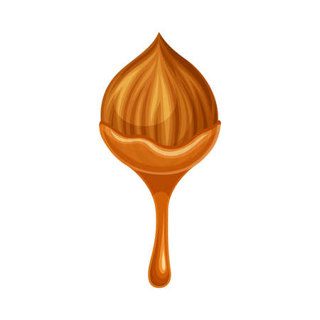 Hazelnut with liquid caramel chocolate. Nutritious natural sweet dessert vector illustrationのイラスト素材