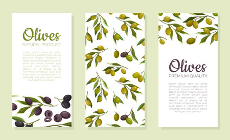 Olives fresh organic natural product brochure, promo advertising banner with place for textのイラスト素材