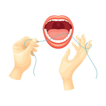 Hands cleaning teeth with dental floss. Open mouth with white teeth. Oral hygiene, dentistry concept vector illustrationのイラスト素材