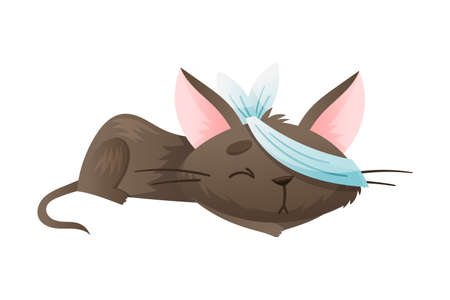 Sick cat pet animal. Sad kitten with bandage on its eye cartoon vector illustrationのイラスト素材