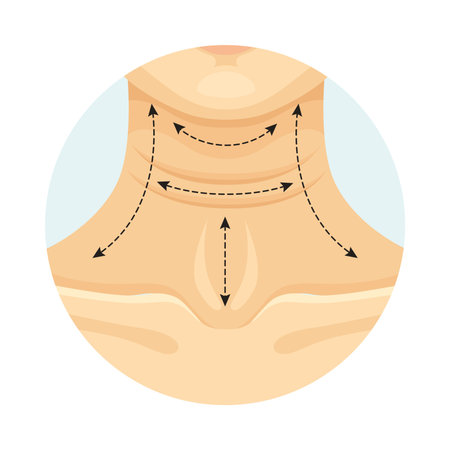 Cosmetic surgery on female neck with dotted lines. Platysmoplasty. Plastic surgery vector...