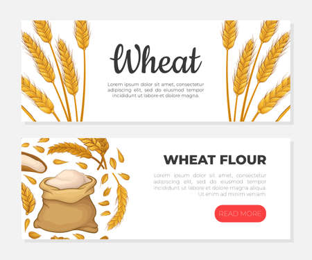 Wheat flour web banners set. Traditional organic grain products landing page, webpage vector illustrationのイラスト素材