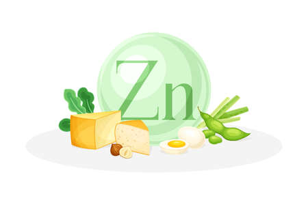 Sources of Zinc mineral. Cheese, bean, egg, hazelnut healthy nutrition food. Mineral vitamin supplement vector illustrationのイラスト素材