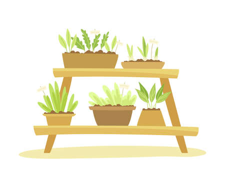 Gardening with Seedling in Pots on Wooden Shelf Racking as Plant Cultivation and Agriculture Vector Illustrationのイラスト素材